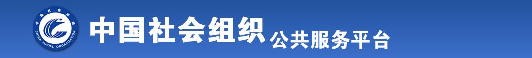 插逼123全国社会组织信息查询